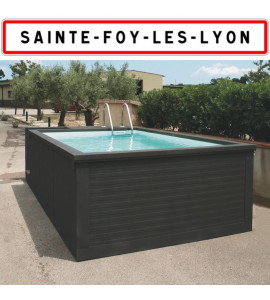 ✅  Container piscine sans travaux 5M25x2M55x1M26 Sainte-Foy-lès-Lyon (69202)
