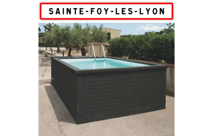 Container piscine sans travaux 5M25x2M55x1M26 Sainte-Foy-lès-Lyon (69202)