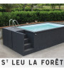 (95320) St Leu la Forêt Container piscine en livraison 5M25x2M55x1M26